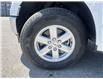 2023 Ford F-150 XLT White
