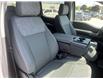 2023 Ford F-150 XLT White