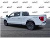 2023 Ford F-150 XLT (Stk: FE684) in Waterloo - Image 4 of 20