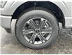 2023 Ford F-150 XLT (Stk: FE658) in Waterloo - Image 6 of 20