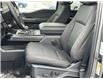 2023 Ford F-150 XLT Grey