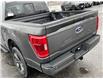 2023 Ford F-150 XLT Grey