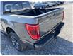2023 Ford F-150 XLT Grey