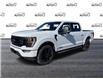 2023 Ford F-150 XLT (Stk: FE709) in Waterloo - Image 3 of 22