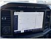 2023 Ford F-150 XLT (Stk: FE709) in Waterloo - Image 14 of 22