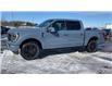 2023 Ford F-150 Platinum (Stk: FE760) in Waterloo - Image 3 of 21