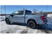 2023 Ford F-150 Platinum (Stk: FE760) in Waterloo - Image 4 of 21