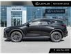 2025 Lexus NX 250 Base (Stk: L15134) in Toronto - Image 3 of 23