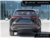 2025 Lexus NX 250 Base (Stk: L15134) in Toronto - Image 6 of 23