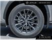 2025 Lexus NX 250 Base (Stk: L15129) in Toronto - Image 4 of 23