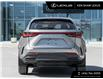 2025 Lexus NX 250 Base (Stk: L15129) in Toronto - Image 6 of 23