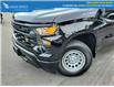 2023 Chevrolet Silverado 1500 Work Truck (Stk: 39242A) in Coquitlam - Image 3 of 17