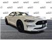 2019 Ford Mustang GT Premium (Stk: AIQ-2579) in Tillsonburg - Image 1 of 17