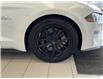 2019 Ford Mustang GT Premium (Stk: AIQ-2579) in Tillsonburg - Image 2 of 17