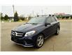 2016 Mercedes-Benz GLE-Class Base (Stk: 163585) in Grimsby - Image 7 of 21