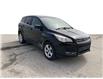 2015 Ford Escape SE (Stk: N091AAX) in Grimsby - Image 1 of 19