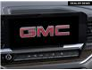 2025 GMC Sierra 1500 Elevation (Stk: 250547) in London - Image 20 of 24