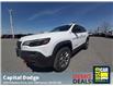 2022 Jeep Cherokee Trailhawk (Stk: N00468) in Kanata - Image 1 of 29