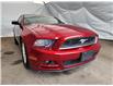 2014 Ford Mustang  (Stk: I2211862) in Thunder Bay - Image 1 of 21