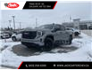 2023 GMC Sierra 1500 Pro (Stk: PZ219458) in Calgary - Image 1 of 27