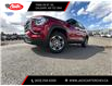 2025 GMC Terrain Elevation (Stk: SL313694) in Calgary - Image 9 of 21
