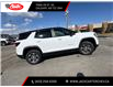 2025 GMC Terrain Elevation (Stk: SL313121) in Calgary - Image 6 of 21