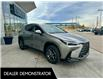 2025 Lexus NX 350h Base (Stk: L25228) in Calgary - Image 4 of 22