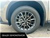 2025 Lexus NX 350h Base (Stk: L25228) in Calgary - Image 22 of 22