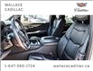 2020 Cadillac Escalade ESV 4WD 4dr Platinum, DVD ENTERTAIN, NAV, SUNROOF, (Stk: PL5547) in Milton - Image 18 of 30
