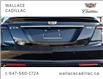 2020 Cadillac CT5 4dr Sdn Sport, NAV, SUNROOF, BOSE PERFORMANCE PKG (Stk: PL5609) in Milton - Image 13 of 23