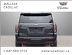 2019 Cadillac Escalade Luxury, Escalade, Magnetic Ride, HUD, BrownLeather (Stk: 117468A) in Milton - Image 4 of 13