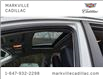 2017 Toyota RAV4 Limited (Stk: 115146B) in Markham - Image 7 of 30