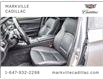 2015 BMW 5 Series 528i xDrive (Stk: 241879A) in Markham - Image 6 of 30