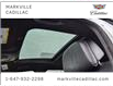 2015 BMW 5 Series 528i xDrive (Stk: 241879A) in Markham - Image 7 of 30