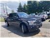 2022 Ford F-150 XLT (Stk: X0262) in Barrie - Image 1 of 32