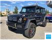 2017 Mercedes-Benz G-Class Base (Stk: 17-285026) in Abbotsford - Image 3 of 23