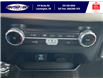 2022 Ford F-150 XLT (Stk: FF29221) in Leamington - Image 32 of 32