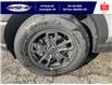 2023 Ford Bronco Sport Big Bend (Stk: BR29347) in Leamington - Image 18 of 40