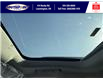 2023 Ford Bronco Sport Big Bend (Stk: BR29347) in Leamington - Image 39 of 40