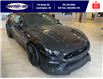 2022 Ford Mustang Mach 1 (Stk: MU29045) in Leamington - Image 6 of 7