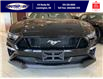 2022 Ford Mustang GT Premium (Stk: SMU7520) in Leamington - Image 2 of 7