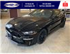 2022 Ford Mustang GT Premium (Stk: SMU7520) in Leamington - Image 3 of 7