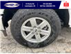 2022 Ford F-150 XLT (Stk: FF29215) in Leamington - Image 10 of 25