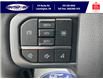 2022 Ford F-150 XLT (Stk: FF29215) in Leamington - Image 24 of 25