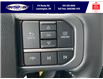 2022 Ford F-150 XLT (Stk: FF29215) in Leamington - Image 23 of 25