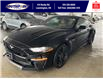 2022 Ford Mustang GT Premium (Stk: SMU7556) in Leamington - Image 1 of 4
