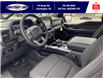 2023 Ford F-150 XLT (Stk: FF29350) in Leamington - Image 4 of 5