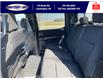 2023 Ford F-150 XLT (Stk: SFF7613) in Leamington - Image 5 of 5