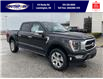 2023 Ford F-150 Platinum (Stk: SFF7664) in Leamington - Image 1 of 5