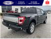 2023 Ford F-150 Platinum (Stk: SFF7664) in Leamington - Image 3 of 5